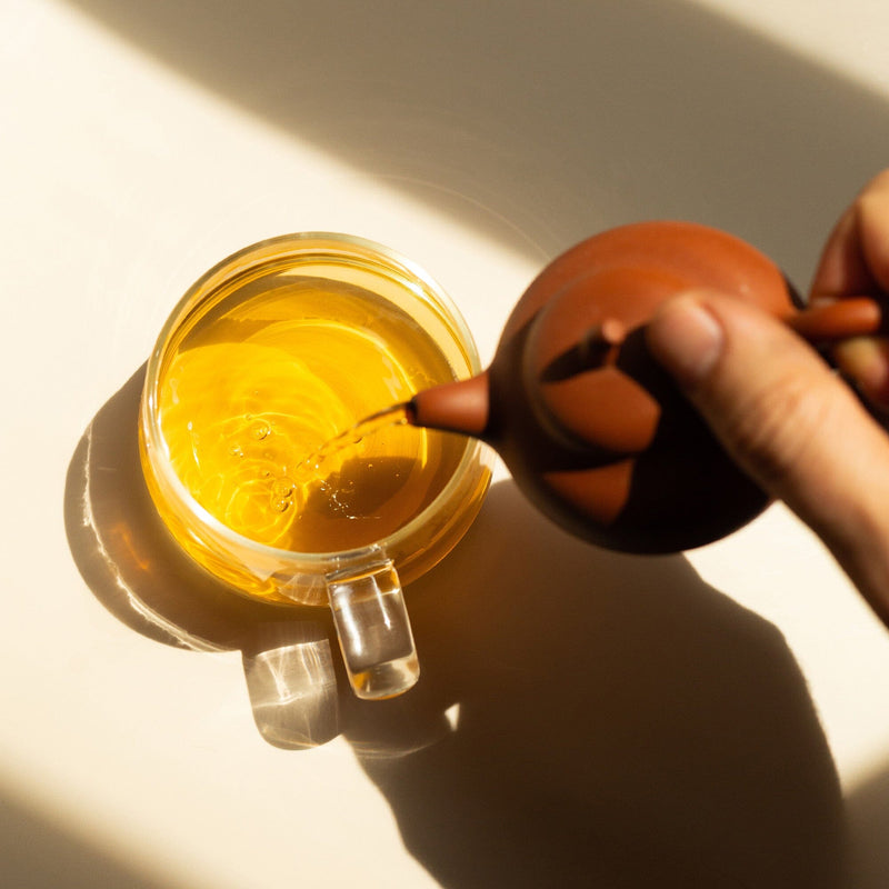 Phoenix Dancong Lan Hua Xiang hover image