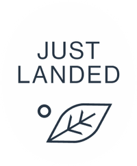 Katakuchi Special Edition Tea Bowl icon